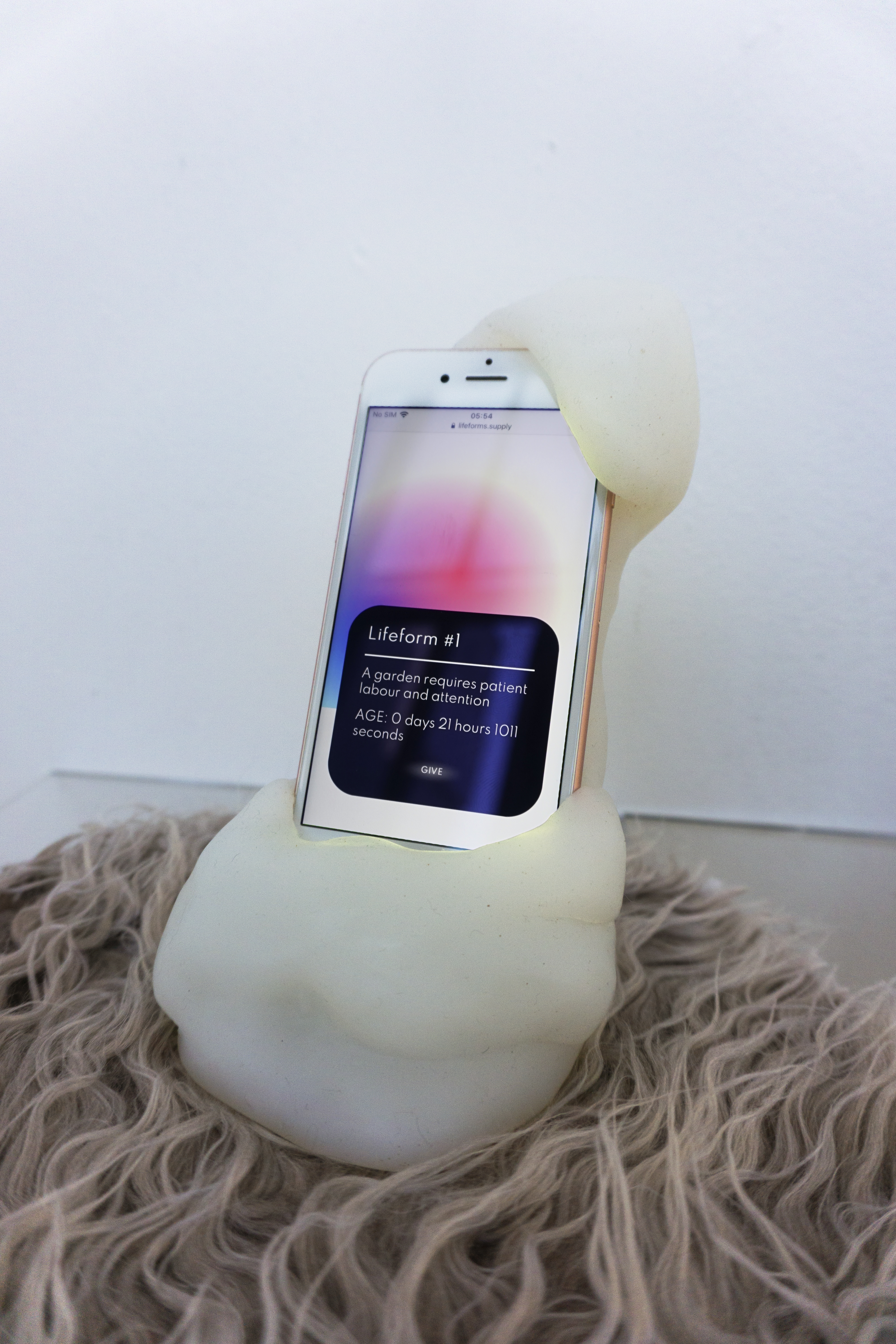 Lifeform 1 physically installed at the Kunstverein in Hamburg. It is a soft translucent silicone form encasing an iphone sitting on a plexiglass shelf