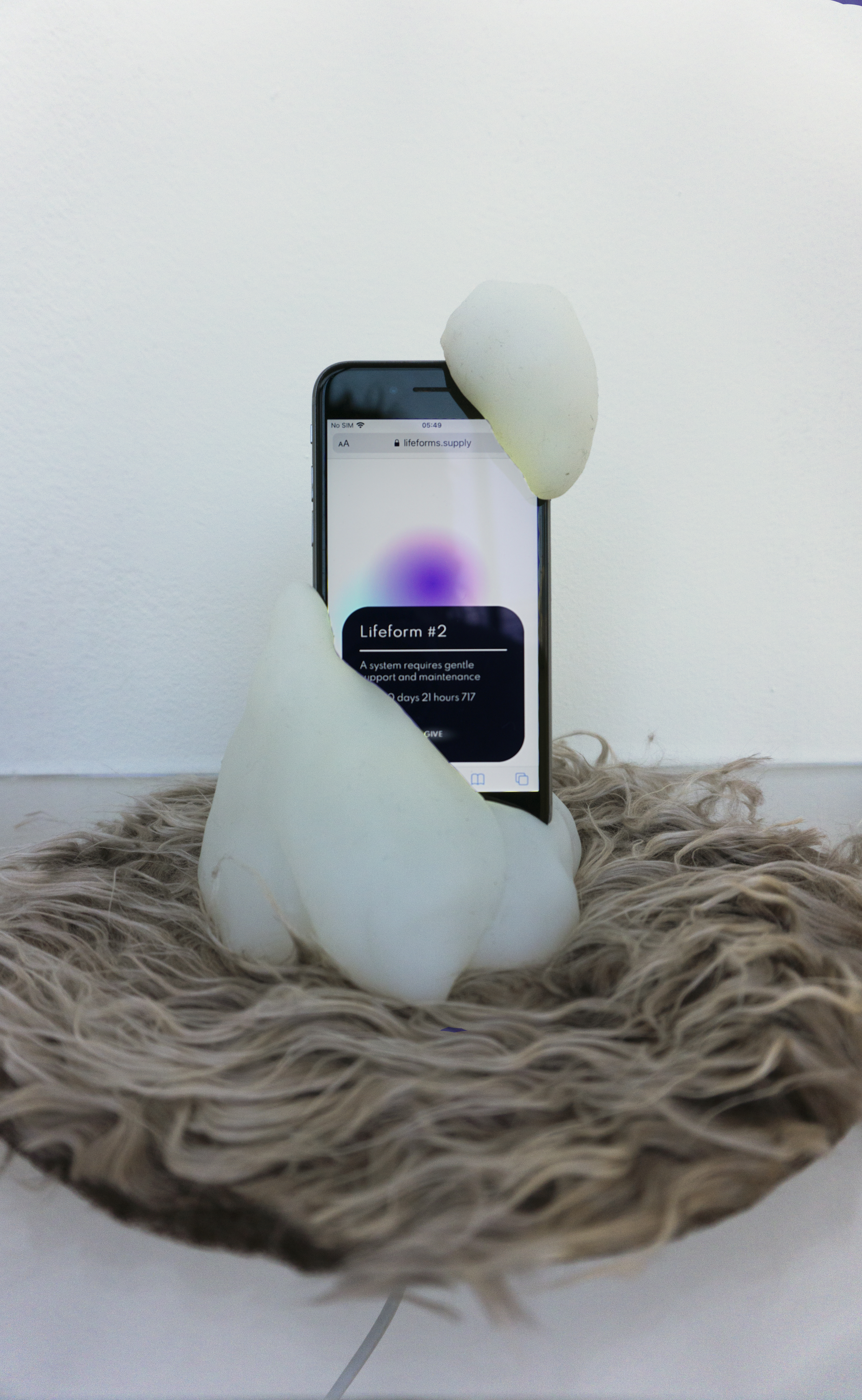 Lifeform 3 physically installed at the Kunstverein in Hamburg. It is also a translucent silicone lumpy body for an iphone with a furry nest